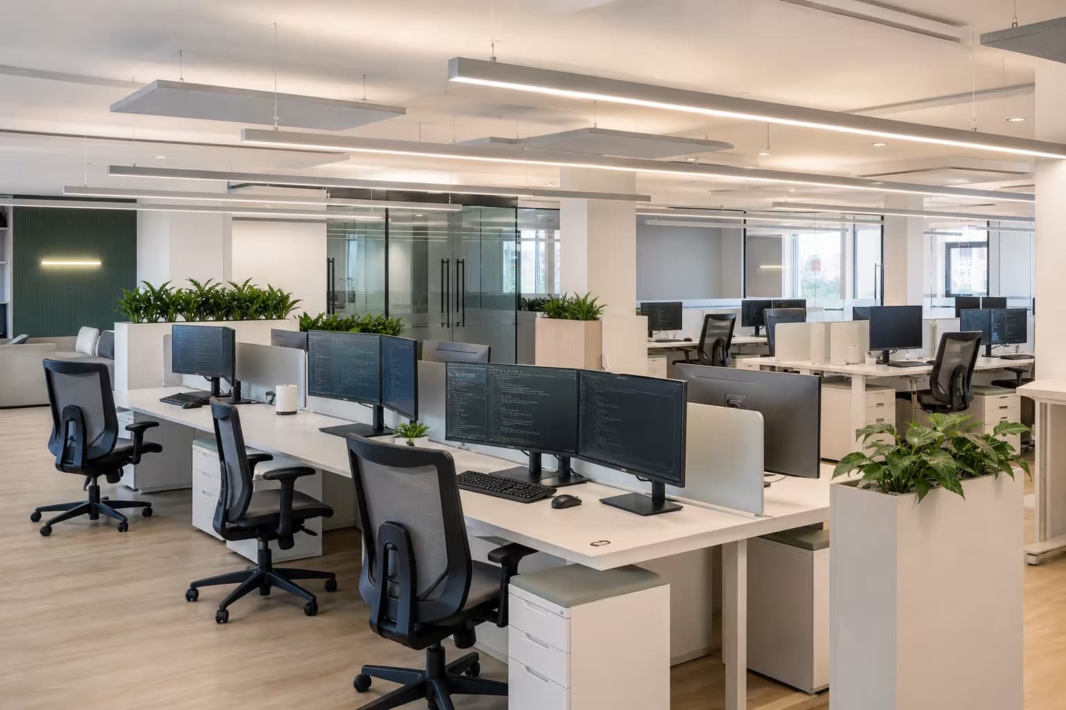 Start-up Software Company